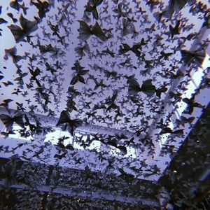 Meet your Posher, Jacie